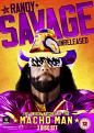 WWE: Randy Savage Unreleased - The Unseen Matches Of The Macho... [DVD]