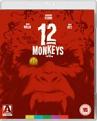 Twelve Monkeys (Blu-ray)
