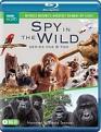 Spy in the Wild: Series 1-2 (Blu-Ray)