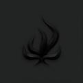 Black Flame (Music CD)