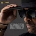 Shaggy - Hot Shot 2020 (Music CD)