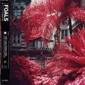 Foals - Everything Not Saved Will Be Lost Part 1 (vinyl)