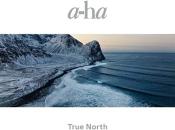 A-Ha - True North (Music CD)