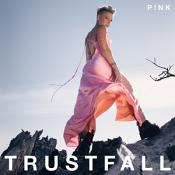 P!nk - Trustfall (Music CD)