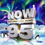 Various Artists - Now That's What I Call Music  Vol. 95 (Music CD)