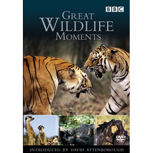 Great Wildlife Moments With David Attenborough (DVD)