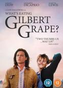 What's Eating Gilbert Grape [DVD] [1993]