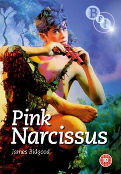Pink Narcissus (DVD)
