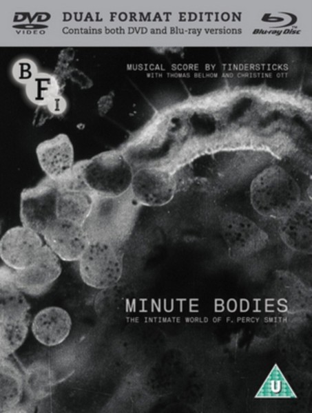Minute Bodies: The Intimate World Of F. Percy (Dvd + Blu-Ray) (DVD)