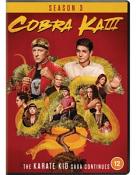 Cobra Kai - Seasons 3 [DVD]