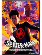 Spider-Man: Across The Spider-Verse [DVD]