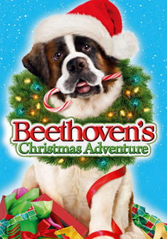 Beethoven'S Christmas Adventure (DVD)