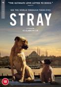 Stray [DVD] [2021]