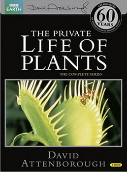 Private Life Of Plants (DVD)