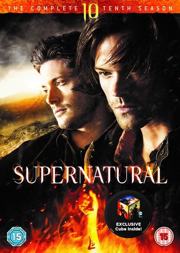 Supernatural - Season 10 (DVD)