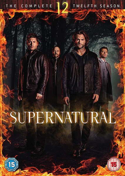 Supernatural: The Complete Twelfth Season (DVD)
