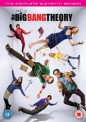 Big Bang Theory - Series 11 (DVD)