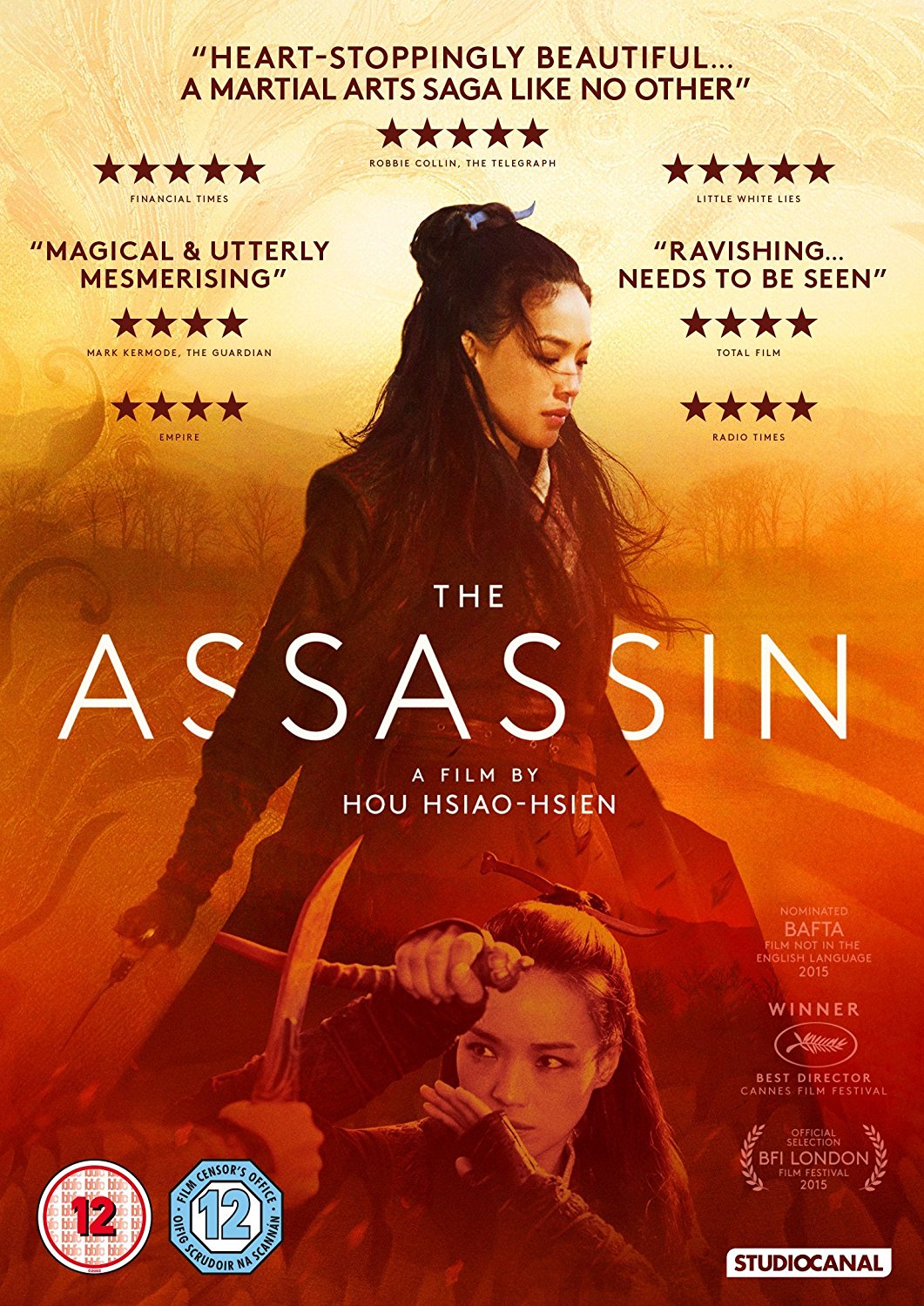 The Assassin (DVD)