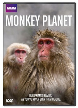 Monkey Planet - Bbc (DVD)