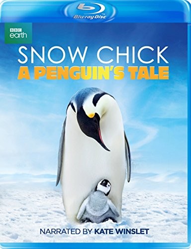 Snow Chick: A Penguin's Tale (Blu-ray)