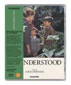 Misunderstood (Limited Edition) [Blu-ray]