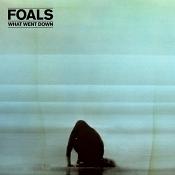 Foals - What Went Down (Music CD)