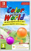 Color Your World (Code in a Box) (Switch)